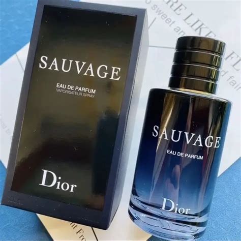 sausave dior|what does dior sauvage smell like.